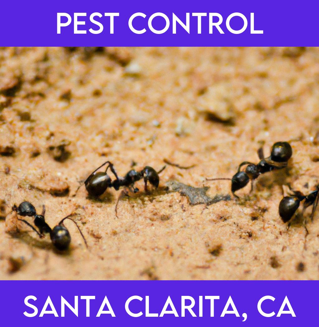 pest control in Santa Clarita California
