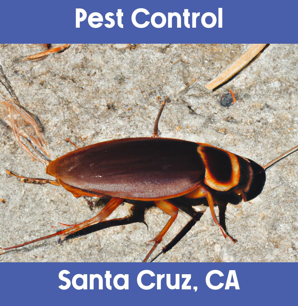 pest control in Santa Cruz California