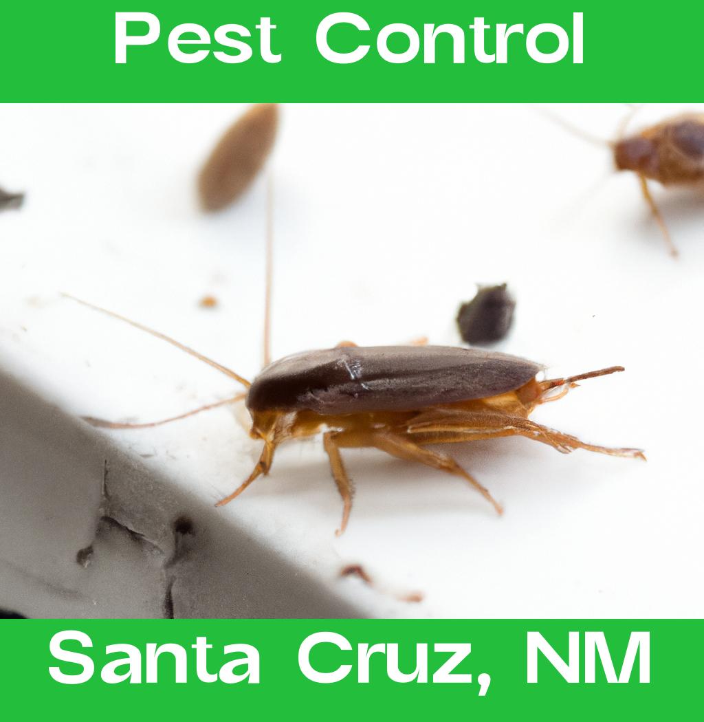 pest control in Santa Cruz New Mexico