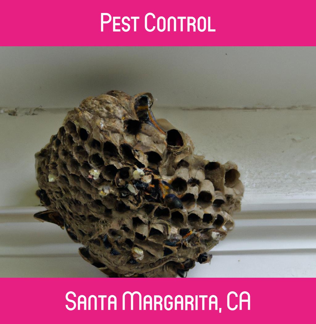 pest control in Santa Margarita California