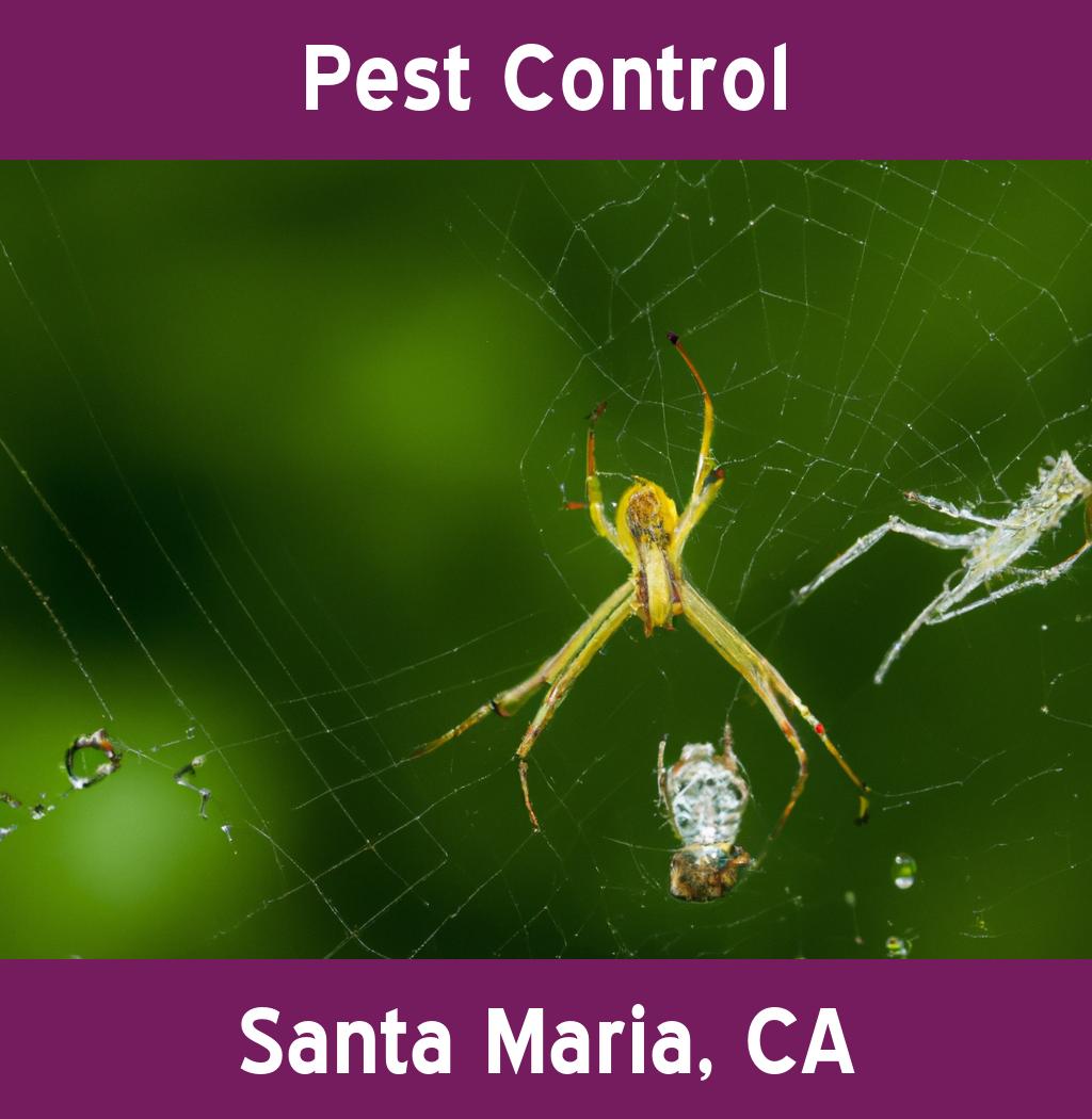 pest control in Santa Maria California