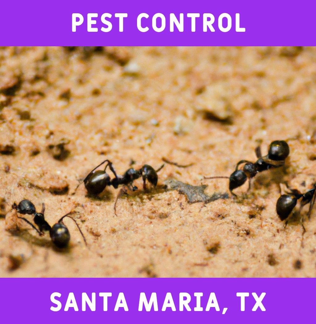 pest control in Santa Maria Texas