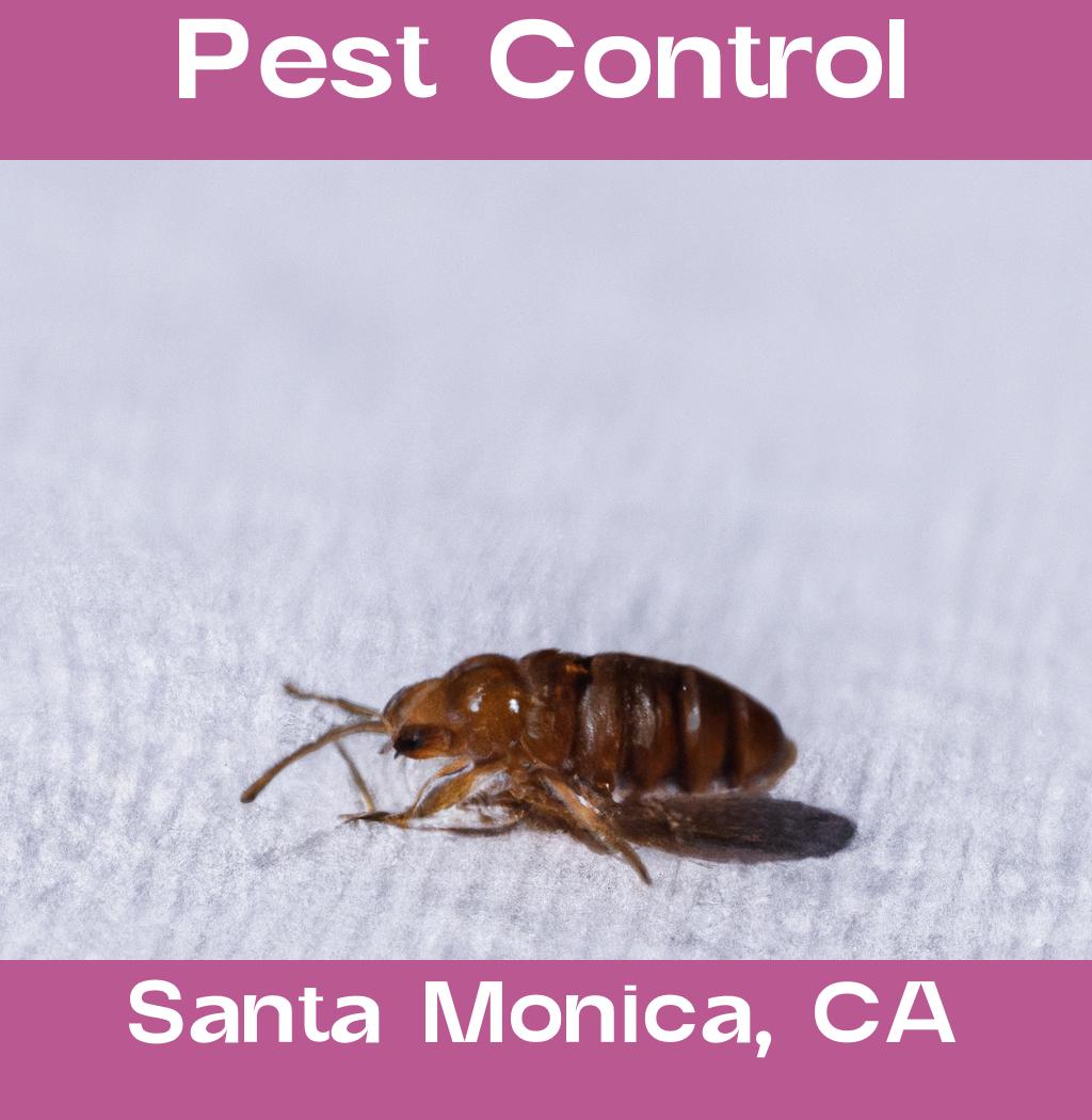 pest control in Santa Monica California