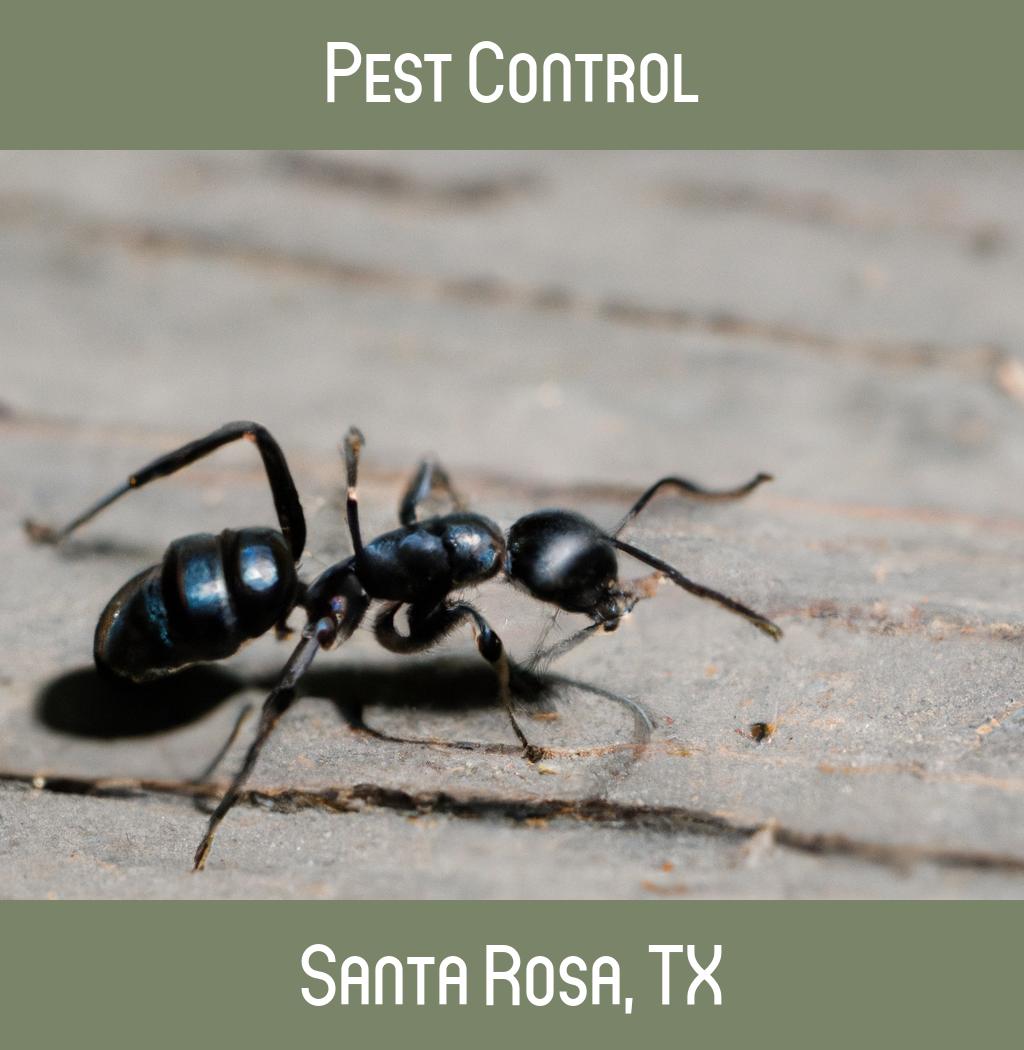 pest control in Santa Rosa Texas