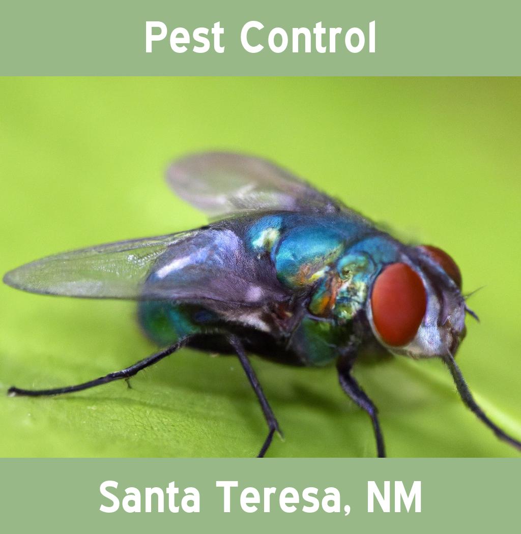 pest control in Santa Teresa New Mexico