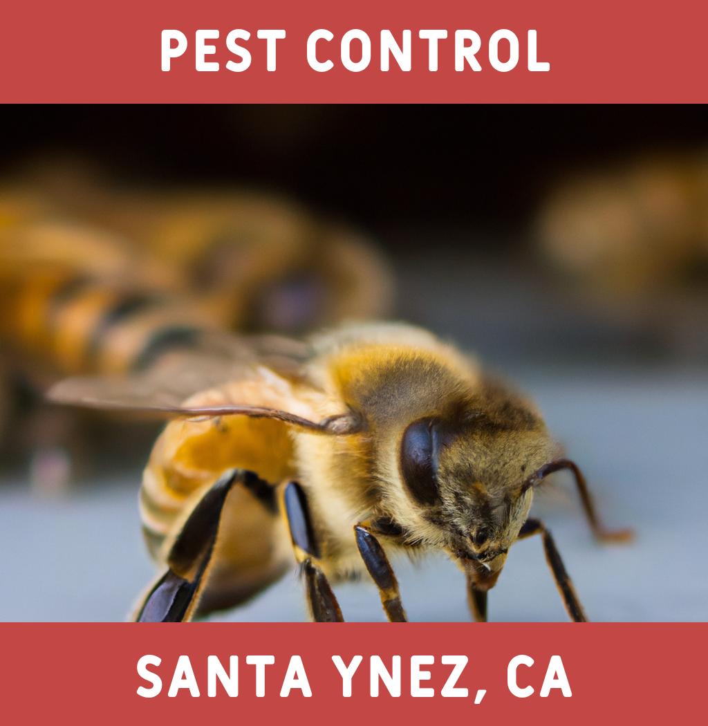 pest control in Santa Ynez California