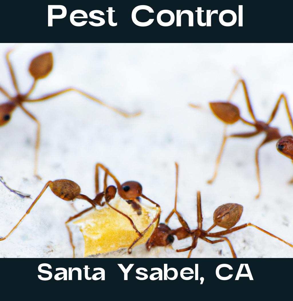 pest control in Santa Ysabel California