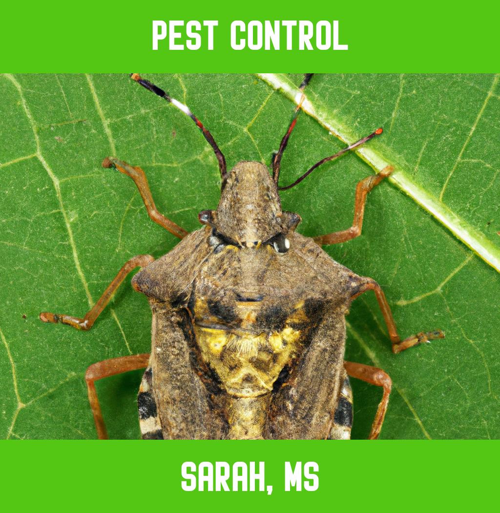 pest control in Sarah Mississippi