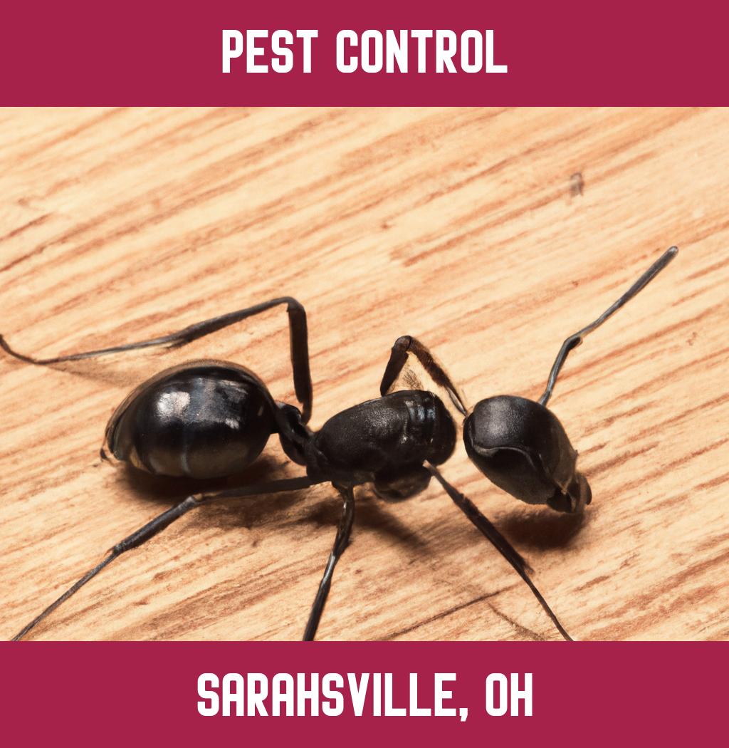 pest control in Sarahsville Ohio