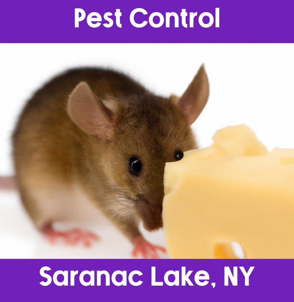 pest control in Saranac Lake New York