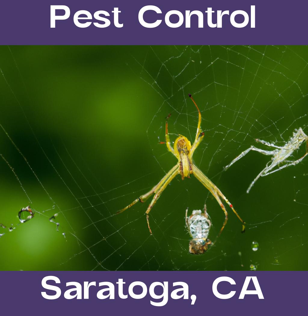 pest control in Saratoga California