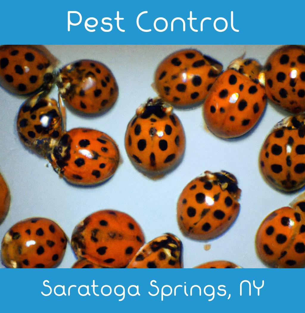 pest control in Saratoga Springs New York