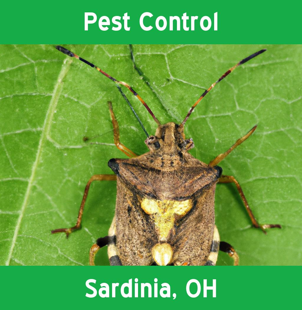 pest control in Sardinia Ohio