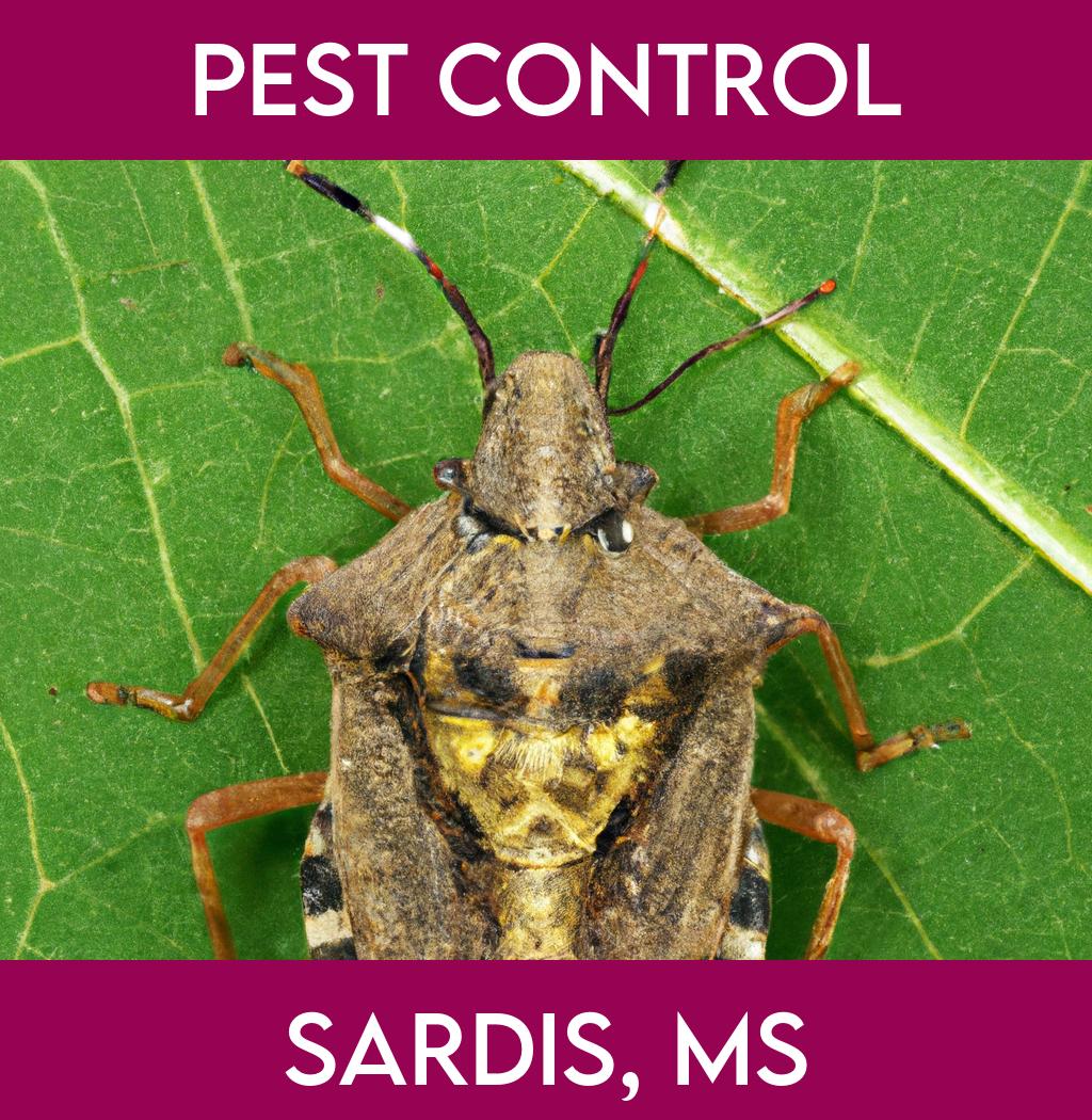 pest control in Sardis Mississippi