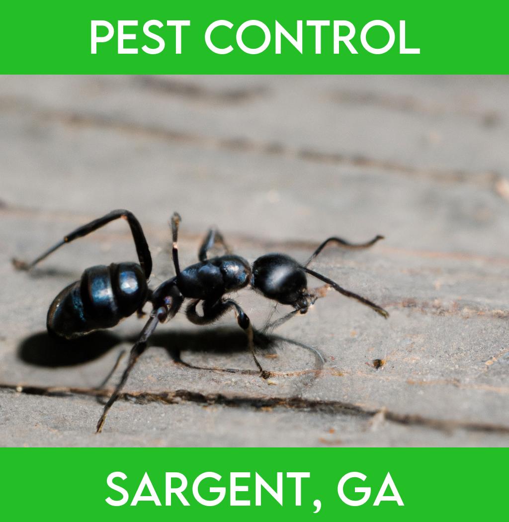 pest control in Sargent Georgia