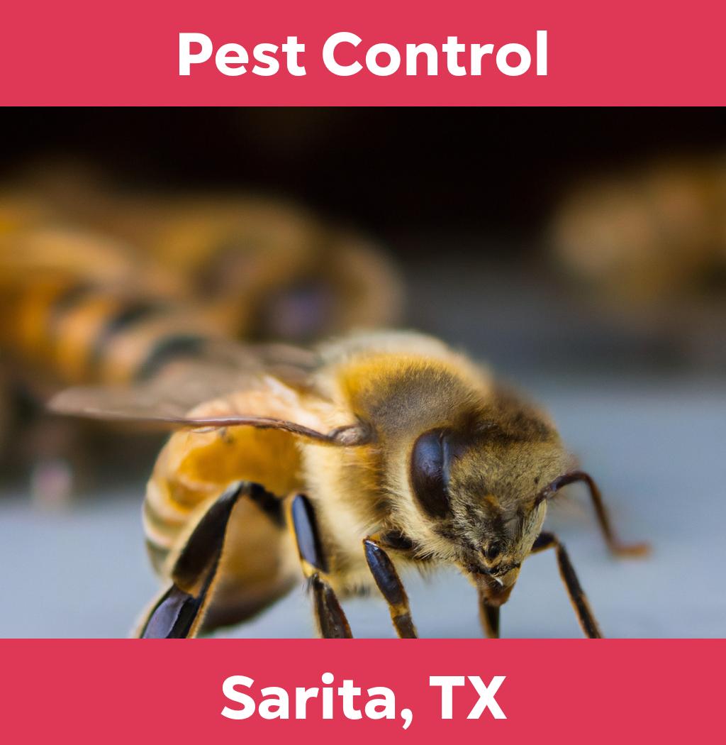 pest control in Sarita Texas