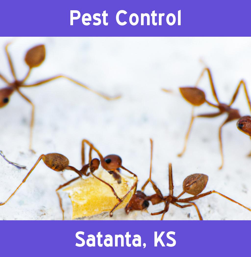 pest control in Satanta Kansas