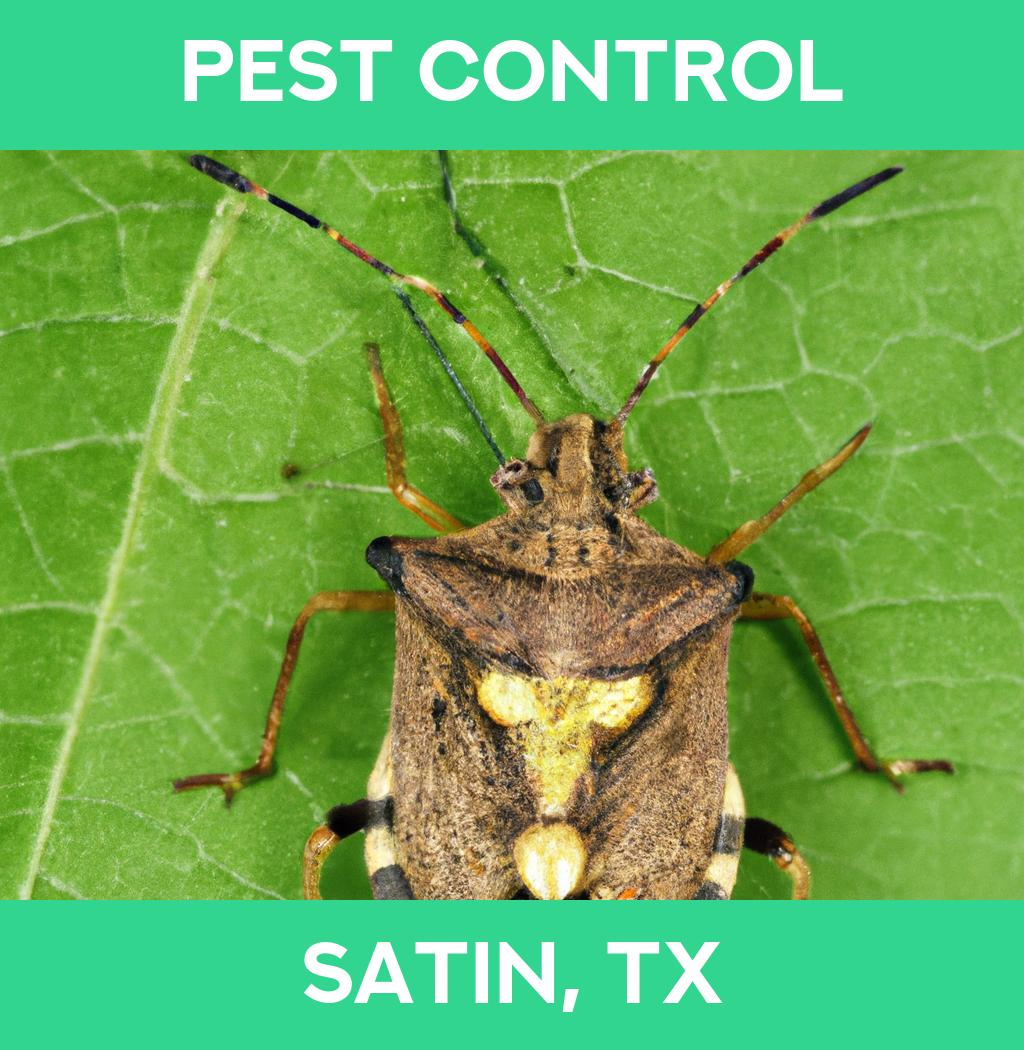 pest control in Satin Texas