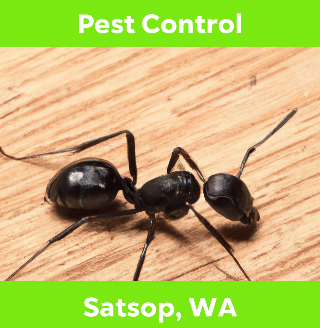 pest control in Satsop Washington