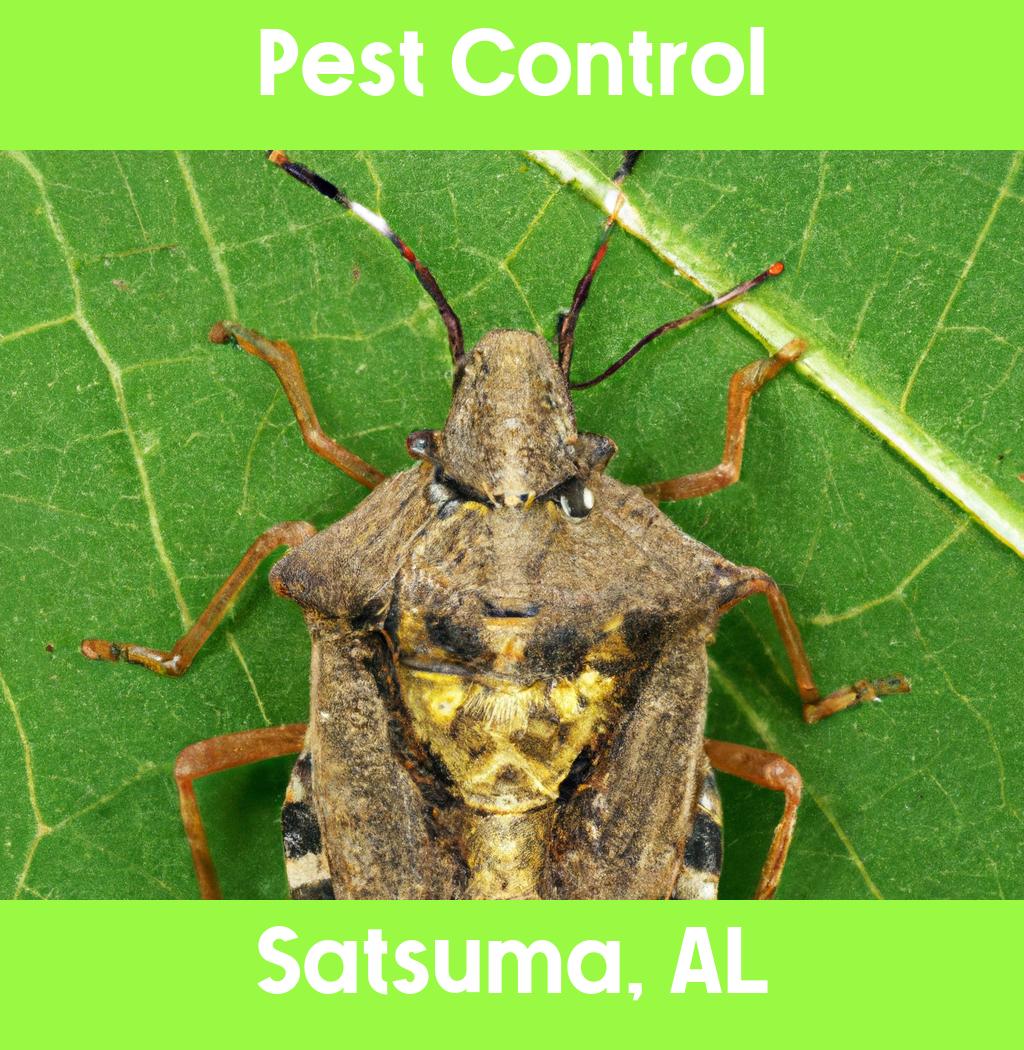 pest control in Satsuma Alabama