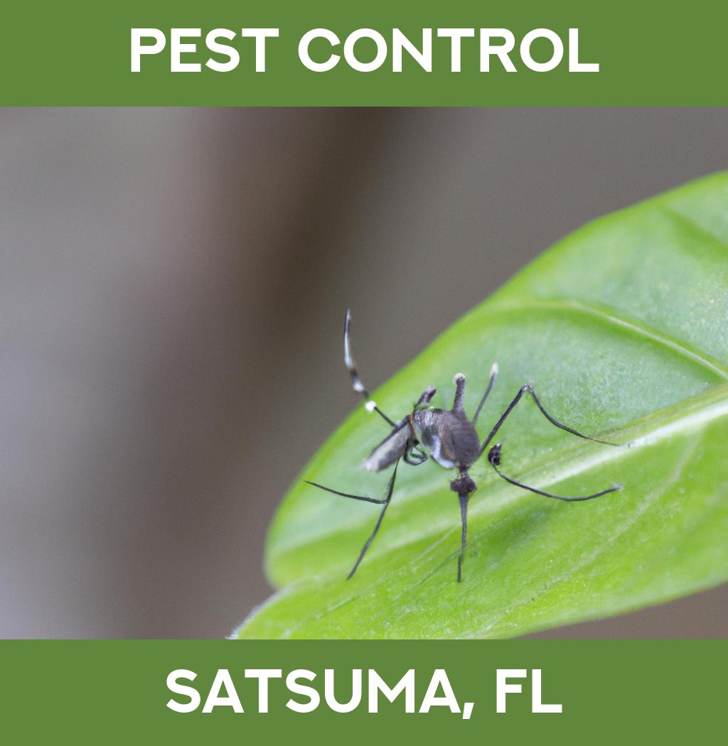 pest control in Satsuma Florida