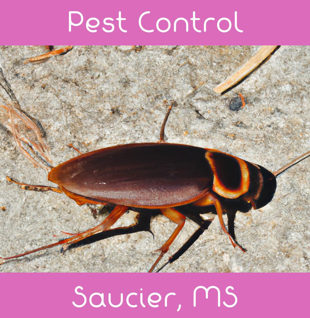 pest control in Saucier Mississippi