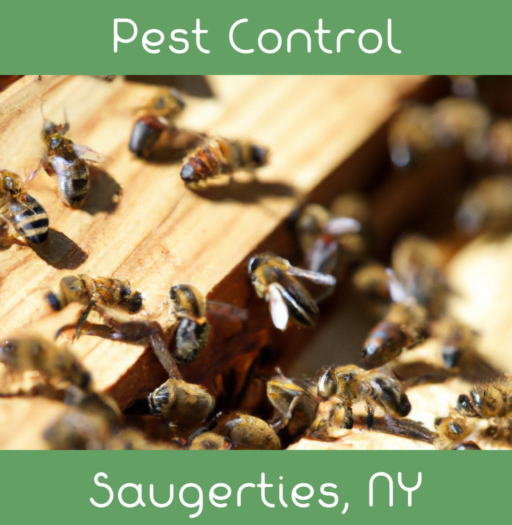 pest control in Saugerties New York