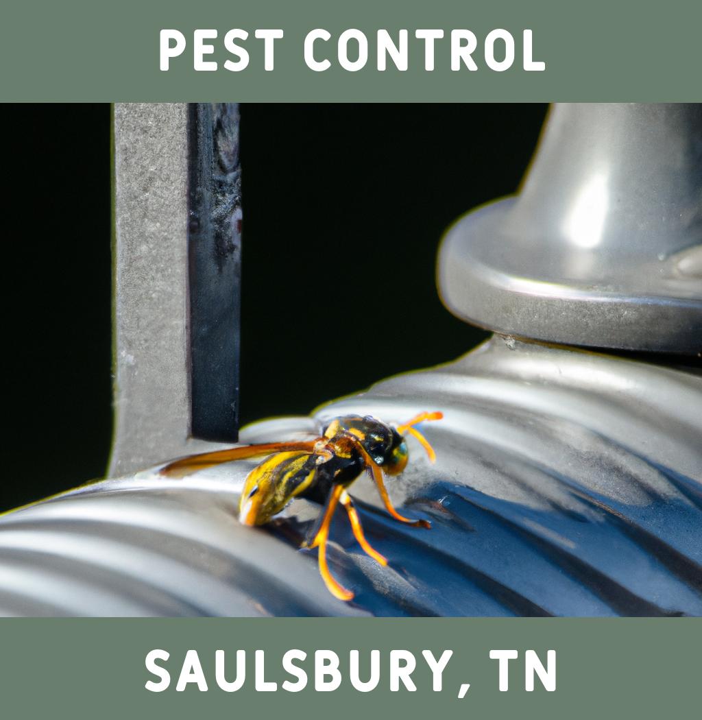 pest control in Saulsbury Tennessee