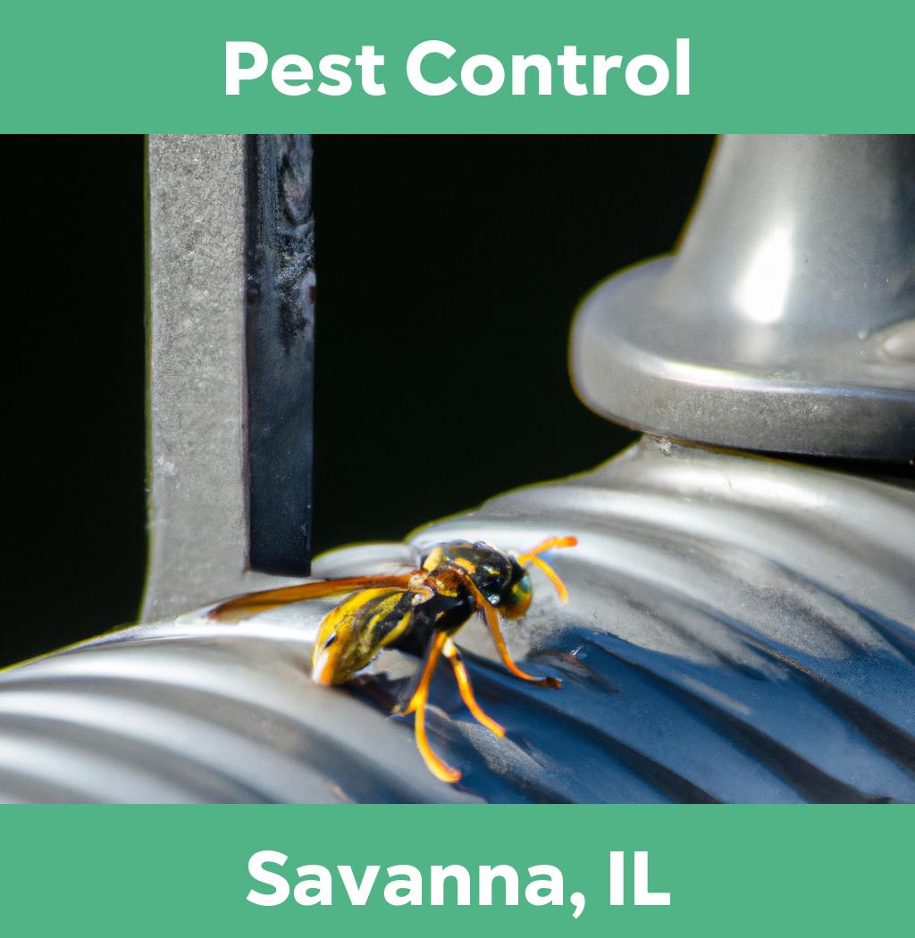 pest control in Savanna Illinois