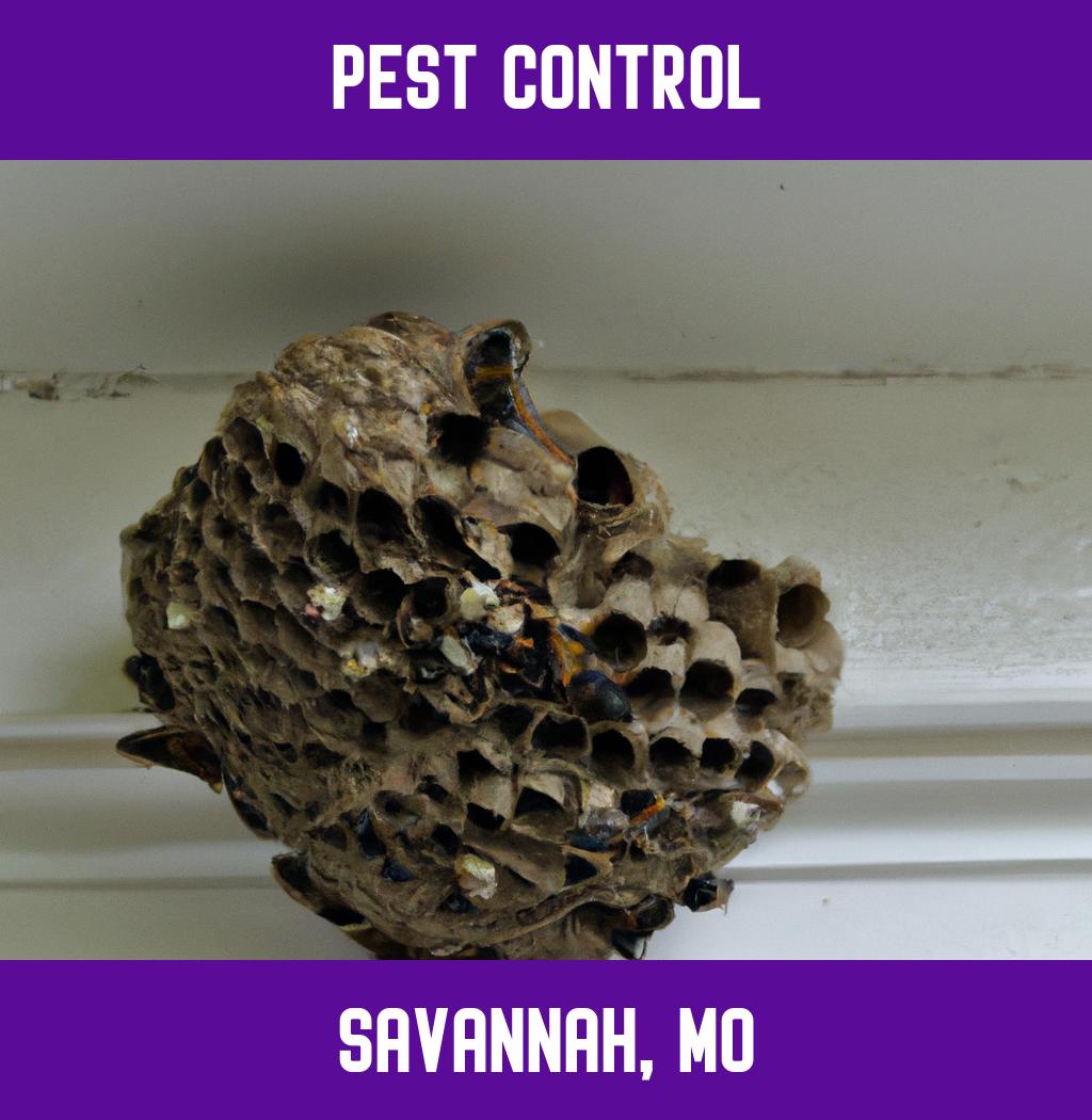 pest control in Savannah Missouri