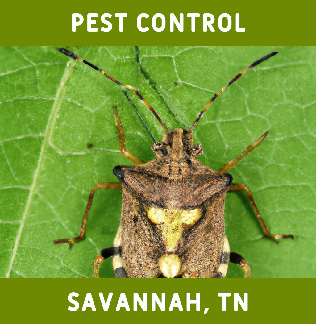 pest control in Savannah Tennessee