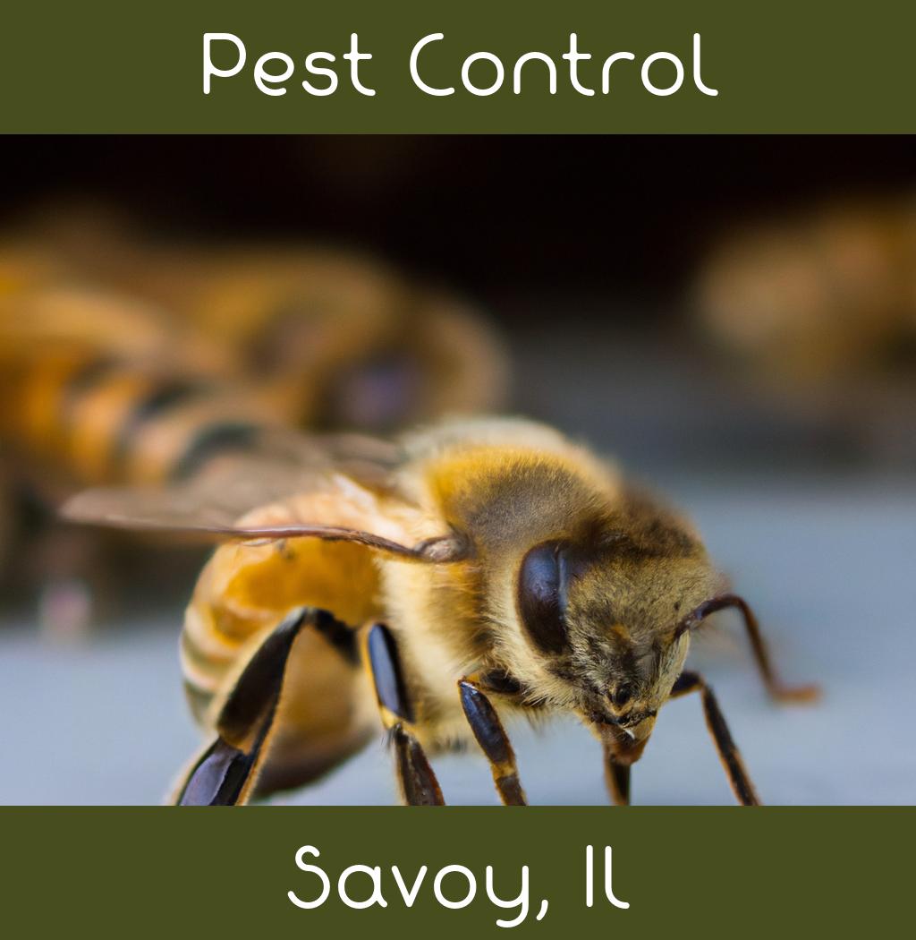 pest control in Savoy Illinois