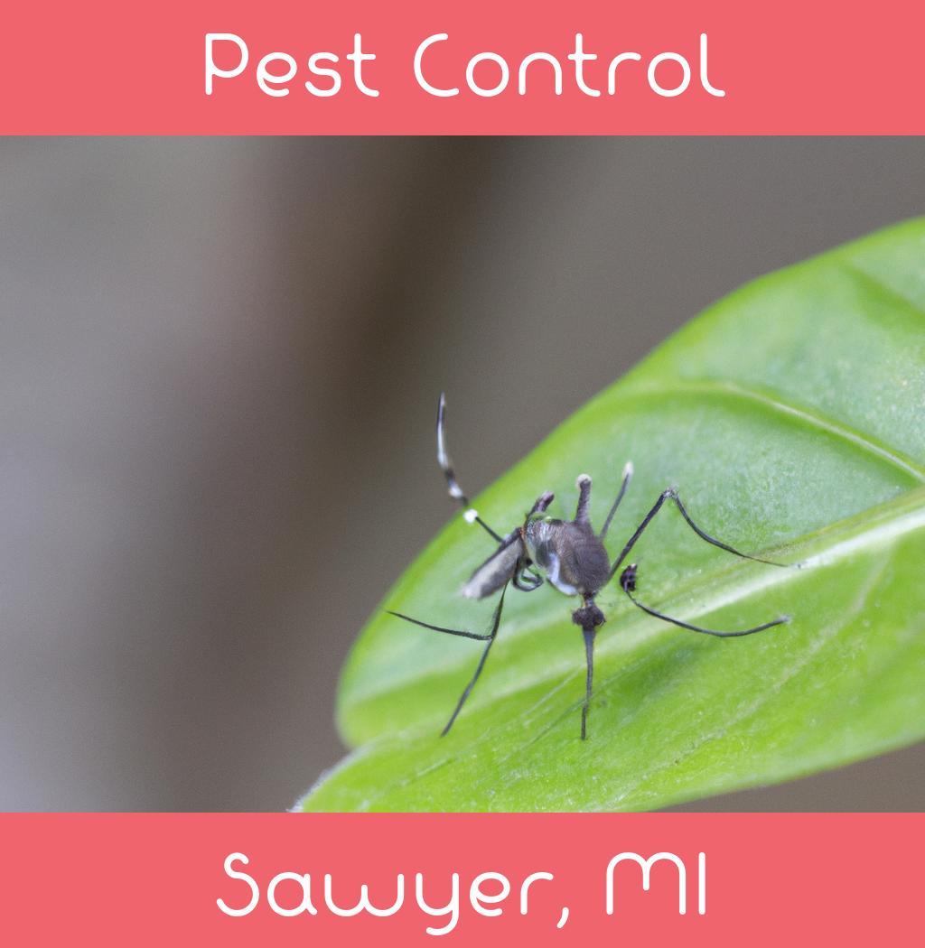 pest control in Sawyer Michigan