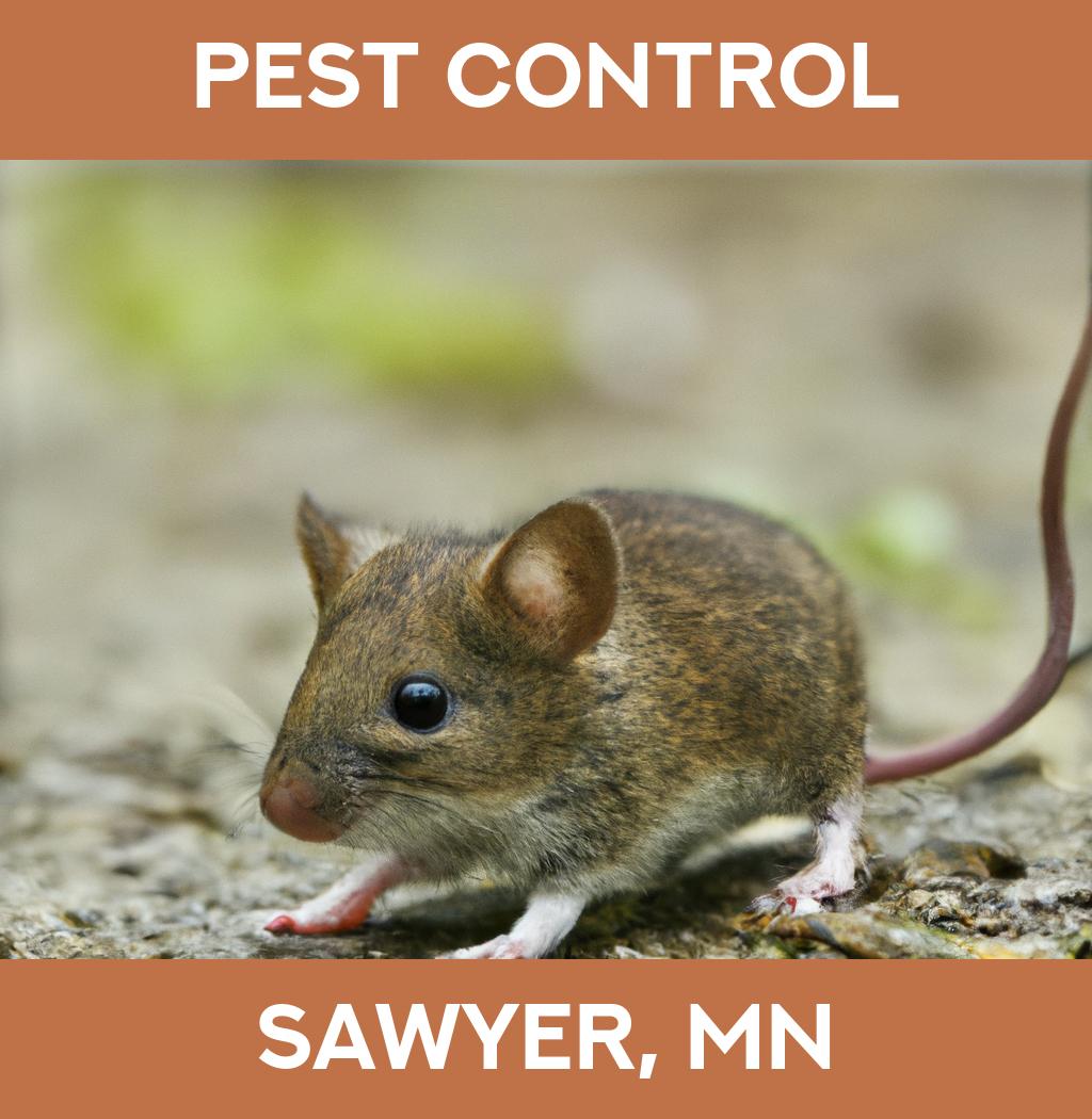 pest control in Sawyer Minnesota