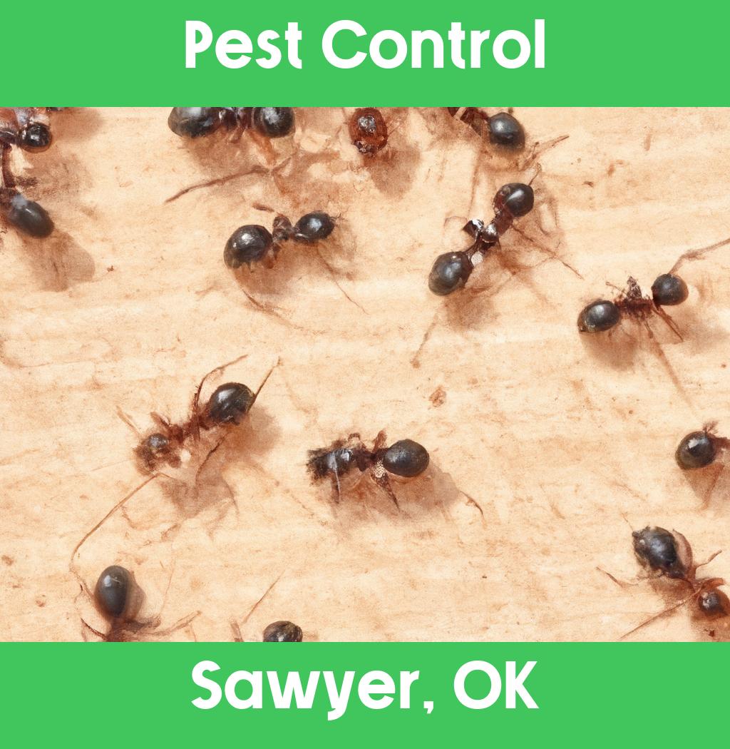 pest control in Sawyer Oklahoma