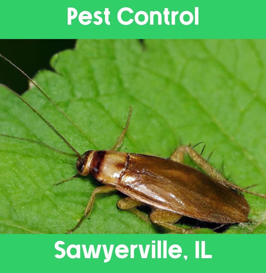 pest control in Sawyerville Illinois