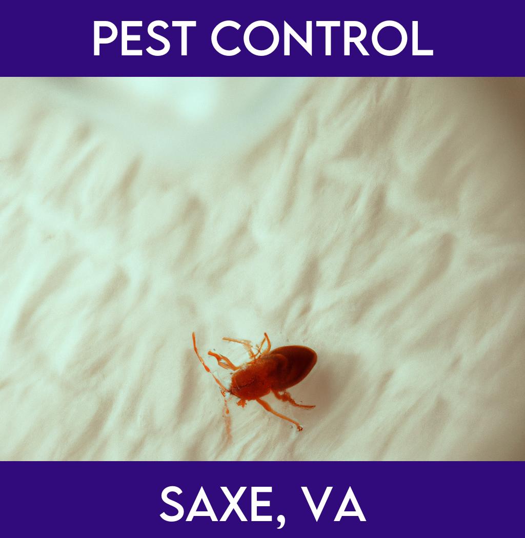 pest control in Saxe Virginia