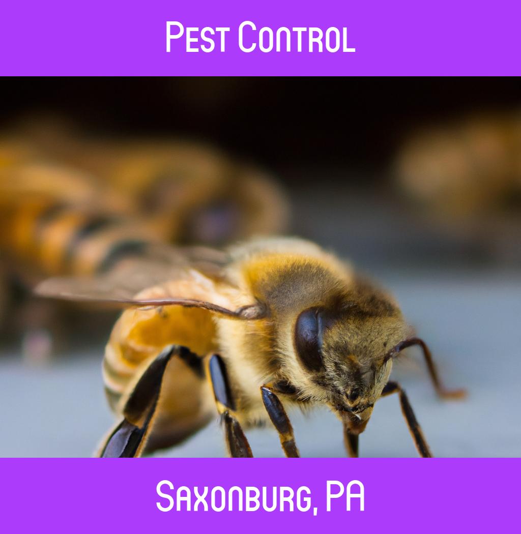 pest control in Saxonburg Pennsylvania