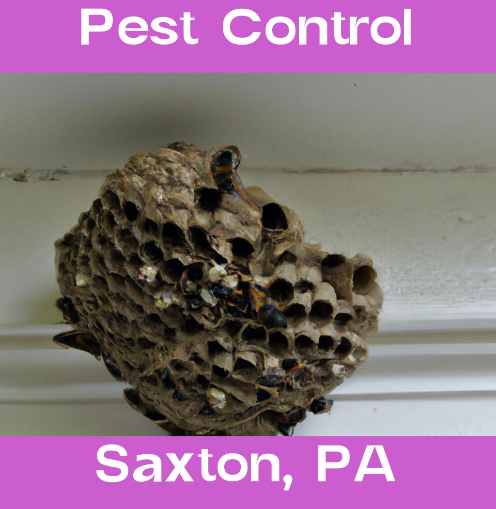 pest control in Saxton Pennsylvania