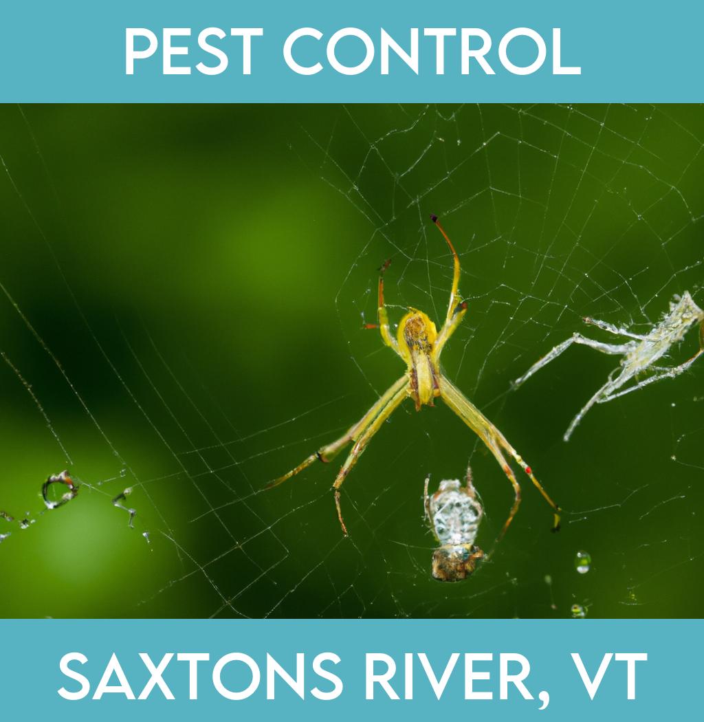pest control in Saxtons River Vermont