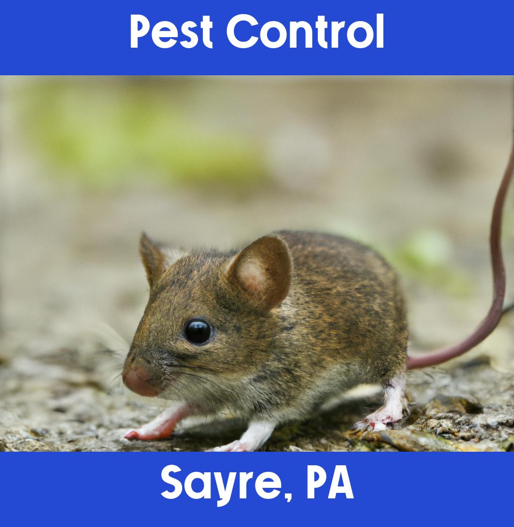 pest control in Sayre Pennsylvania