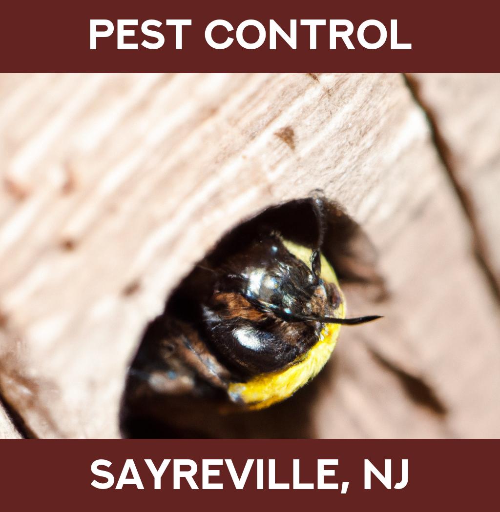 pest control in Sayreville New Jersey