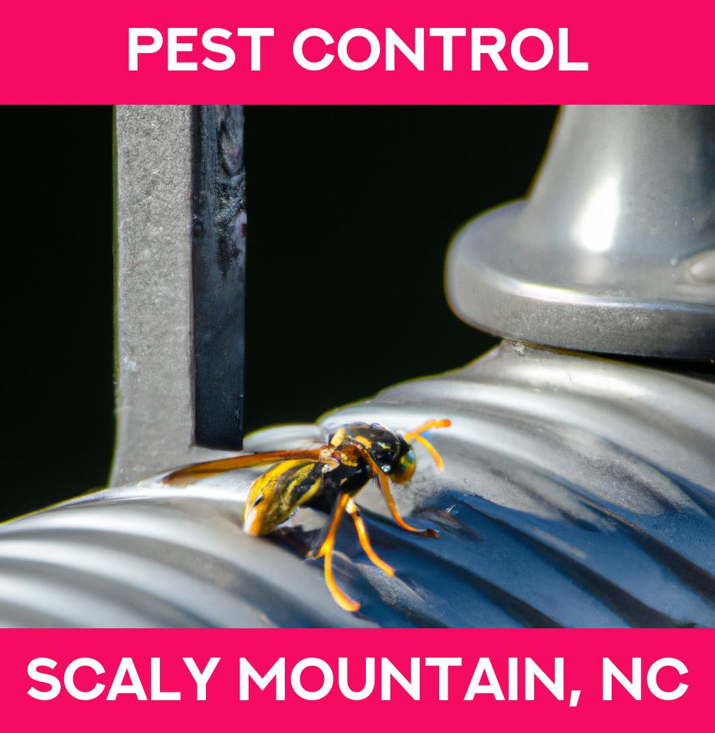 pest control in Scaly Mountain North Carolina