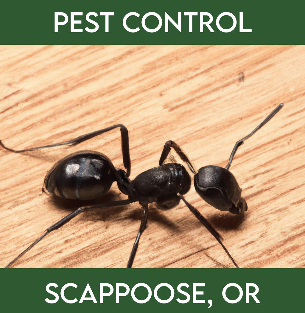 pest control in Scappoose Oregon