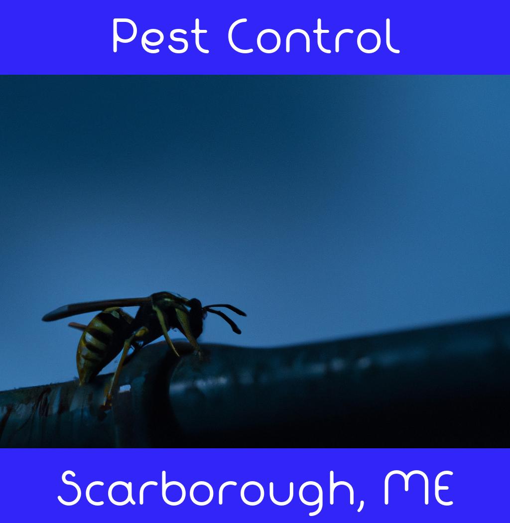 pest control in Scarborough Maine