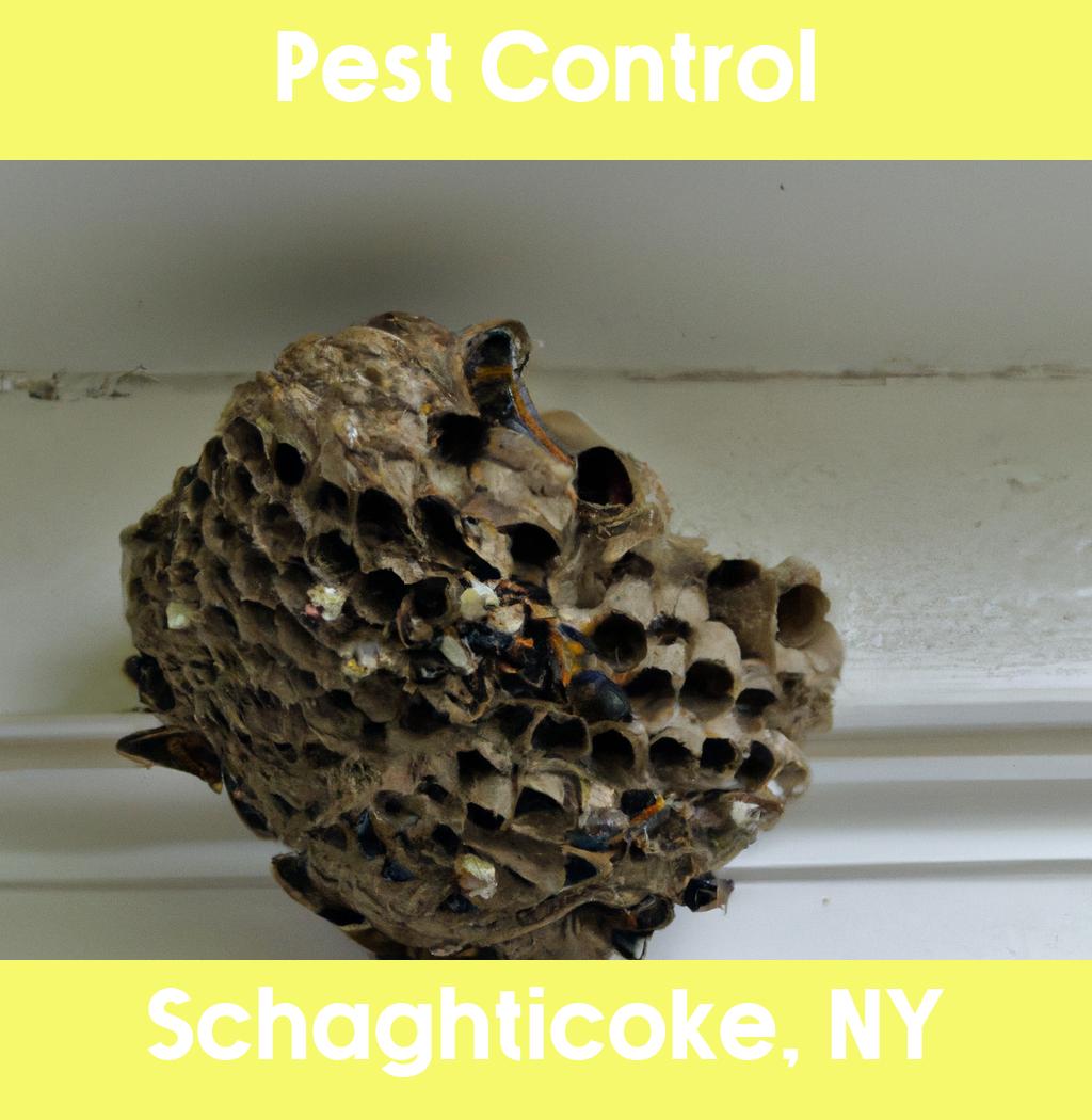 pest control in Schaghticoke New York