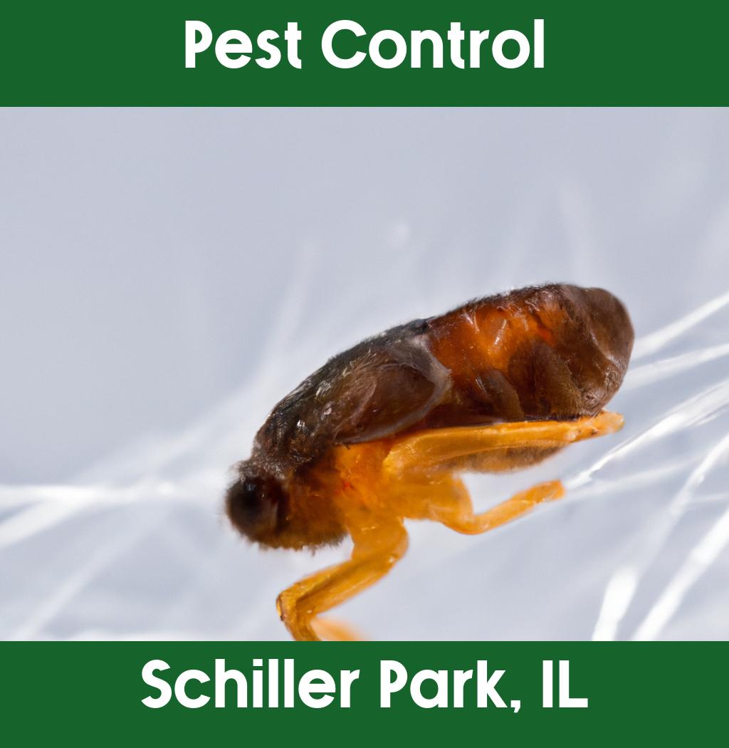 pest control in Schiller Park Illinois