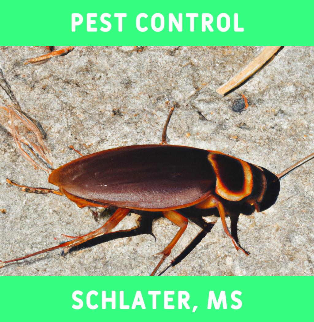 pest control in Schlater Mississippi