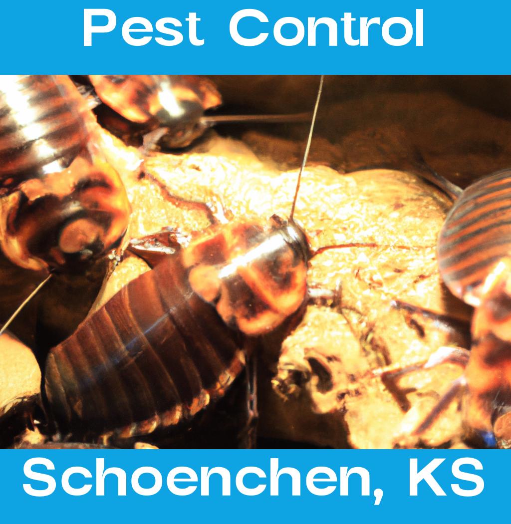 pest control in Schoenchen Kansas