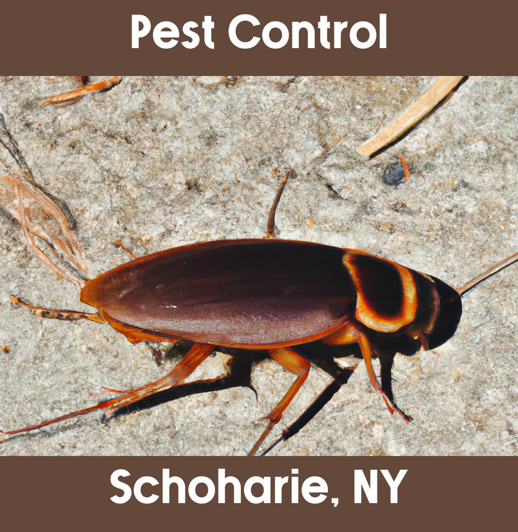 pest control in Schoharie New York